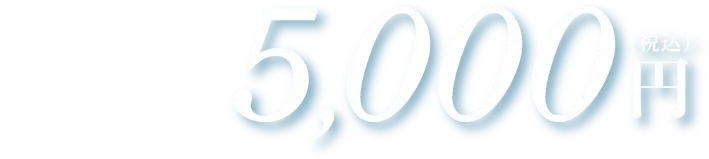 花嫁 花婿様専用 初回限定 5,000円（税込）