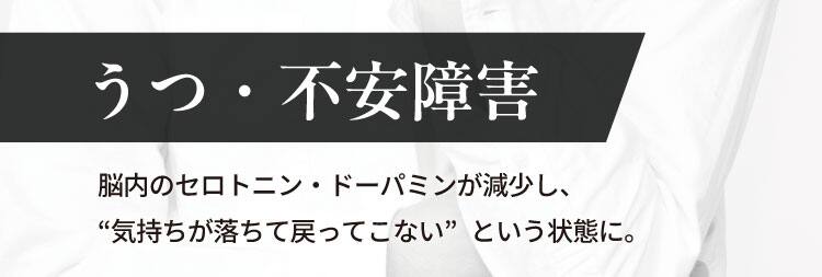 うつ・不安障害
脳内のセロトニン・ドーパミンが減少し、
“気持ちが落ちて戻ってこない”という状態に。