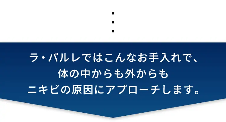 ラ・パルレではこんなお手入れで、体の中からも外からもニキビの原因にアプローチします。