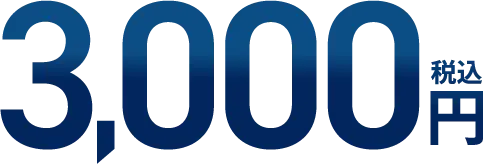 3,000円（税込）