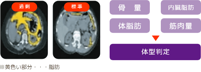 骨量、内臓脂肪、体脂肪、筋肉量　→　体型判定