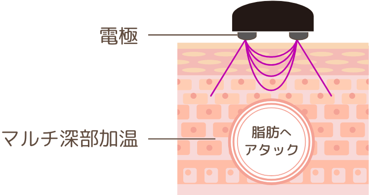 血行が促進され排出力をUP